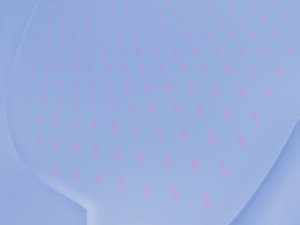 公司治理