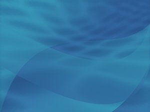 公司治理